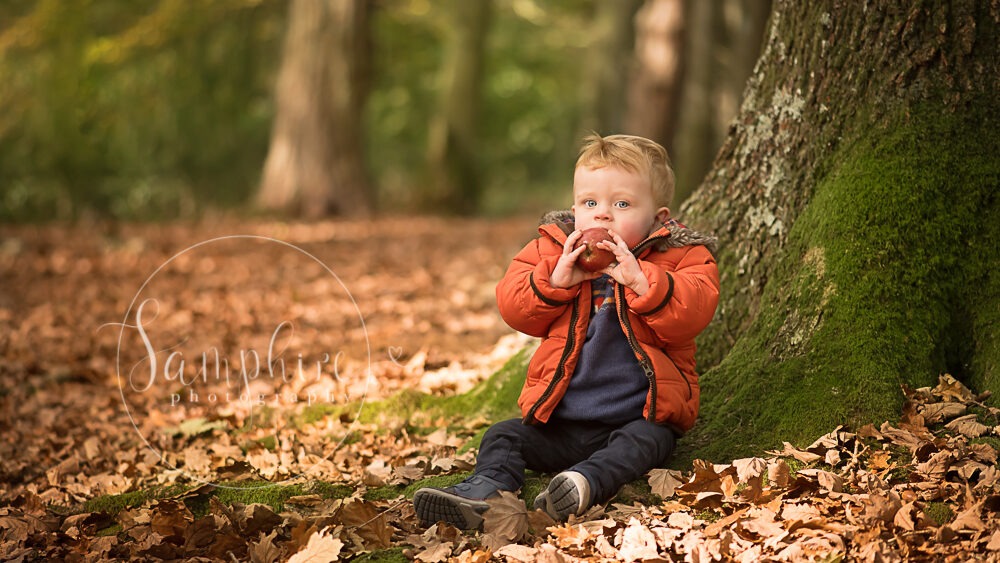 autumn portraits location leaves woodland boy family apple Samphire Photography Sussex