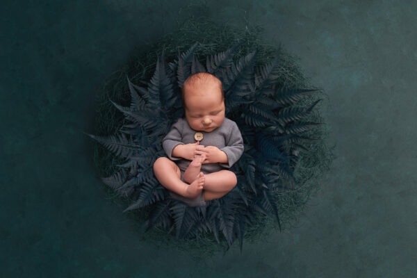 newborn portraits west sussex composite digital backdrop sleeping newborn ferns Samphire Photography Horsham