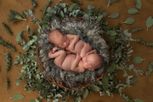 baby twins photographer Sussex newborn brothers layers basket studio portrait green leaf digital backdrop Samphire Photography
