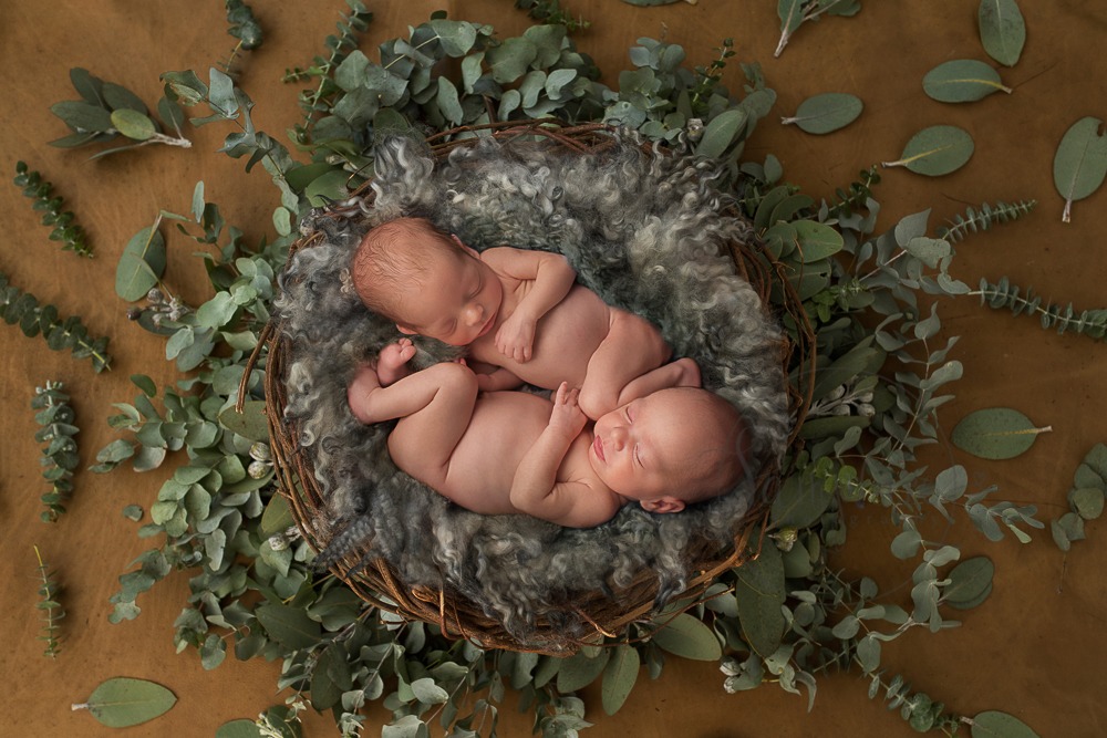 baby twins photgrapher Sussex newborn brothers layers basket studio portrait green leaf digital backdrop Samphire Photography