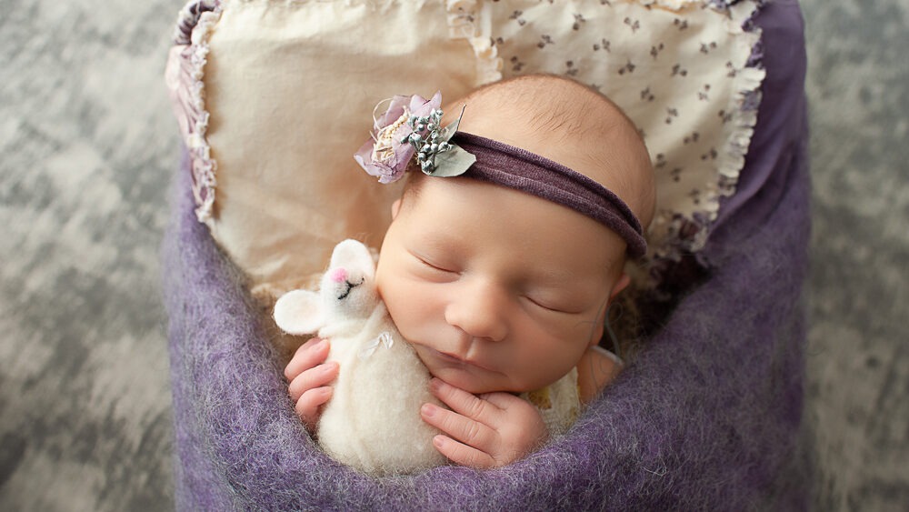 Samphire Photography Newborn Photographer Horsham experienced purple floral mouse
