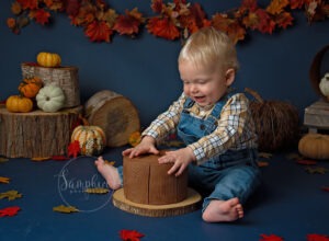 what is a cake smash photoshoot Horsham well take a look at his little boy enjoying autumn themed one