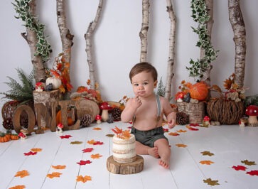 autumn toadstool woodland cake smash photographer surrey