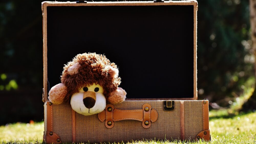 cuddly toy lion in suitcase baby's memory box