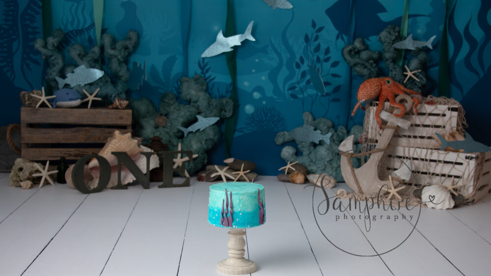 Under the sea cake smash for first birthday